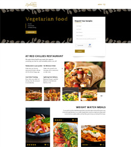 Landing page example 5